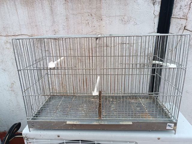 Jaula pájaros 13€ cada jaula