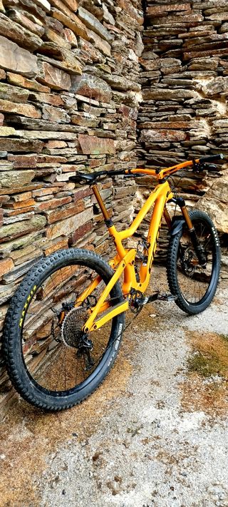 SCOTT RANSOM TUNED 29