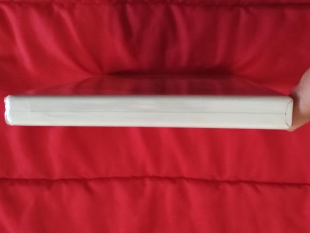 Peccato e castigo Il successore dei cieli