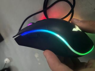 Raton gaming