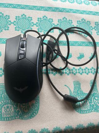 Raton gaming