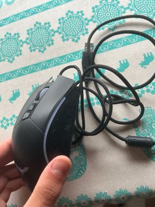 Raton gaming