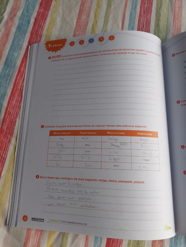 Quadern d'estiu 2n ESO Catalán