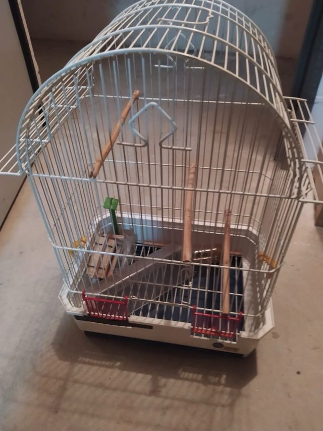 Jaula pequeña pajaros