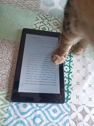 kindke fire 7(9gen) guau ebook de 7"