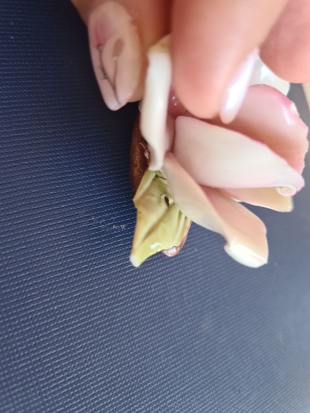 Fiorellino di Capodimonte