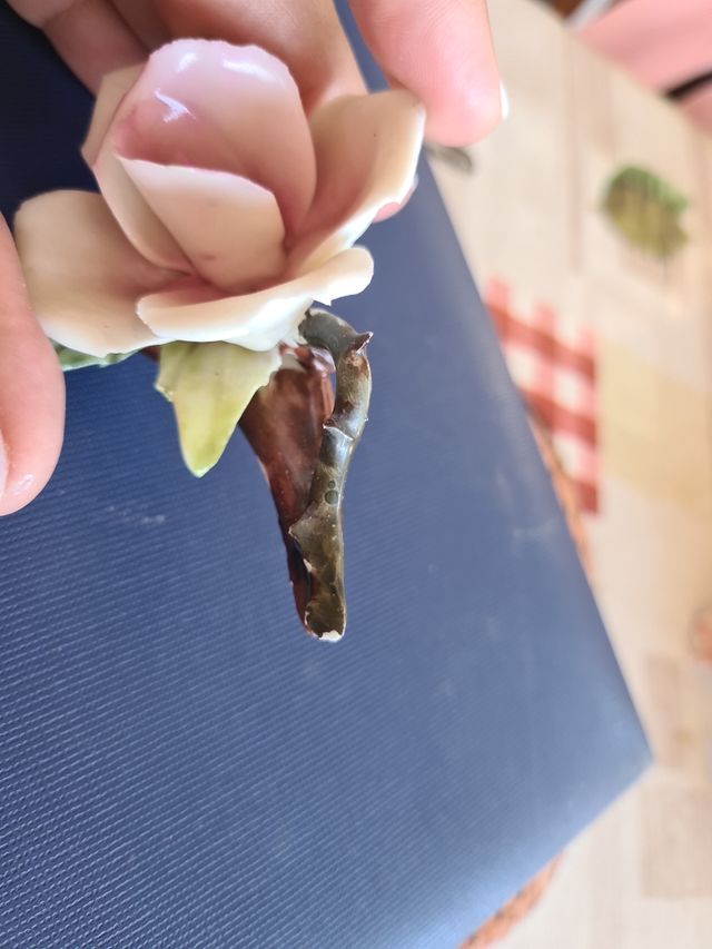 Fiorellino di Capodimonte