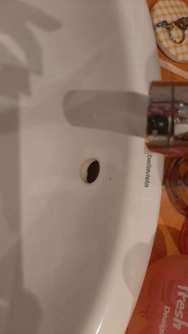 Lavabo empotrable en encimera Bellavista