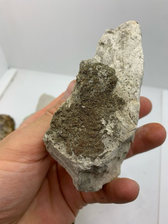 Minerali - Lotto 6 Pezzi