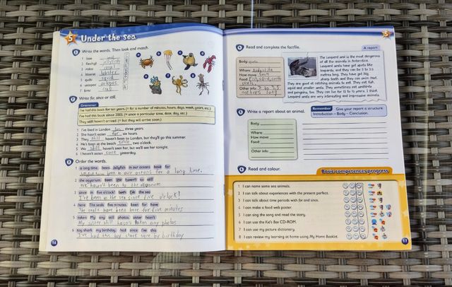 Kid's Box 6 (Cambridge Univ Press)