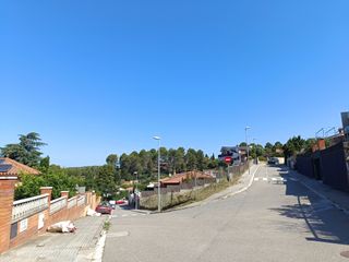 Tala poda de árboles limpieza parcelas IBI