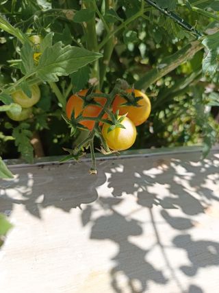 Jardinería y mantenimiento piscina