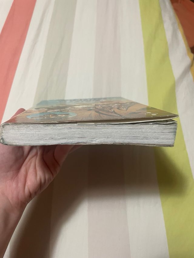 Els forasters del Temps