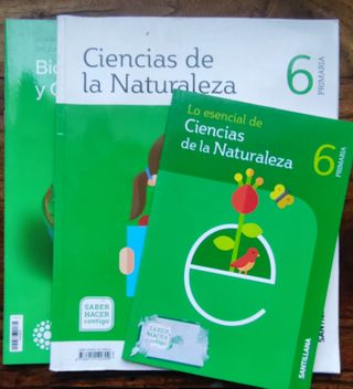 Libros 6 primaria 