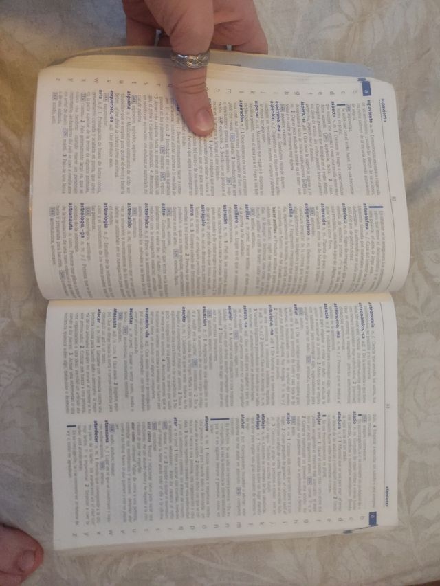 Diccionario Español Vox