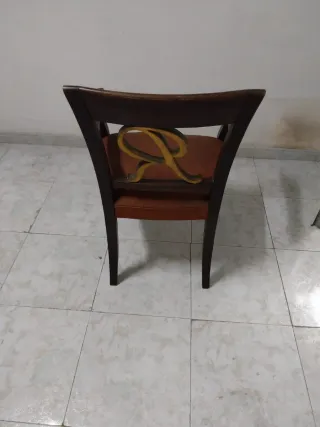 Silla-butaca con reposabrazos