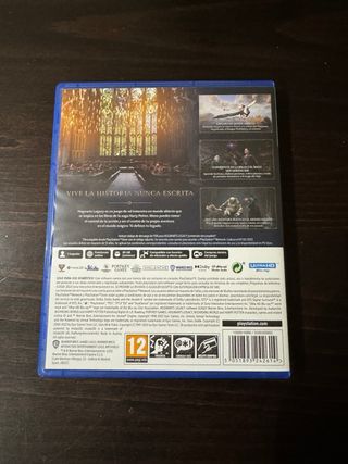 Hogwarts Legacy PS5