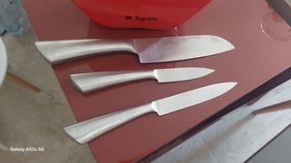 Ceppo di coltelli tognana