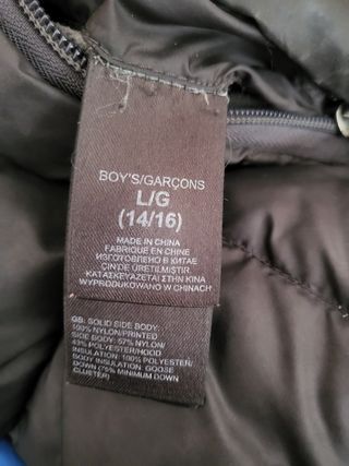 Chaqueta the north face original