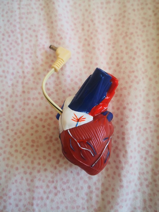 Modellini esplorando il corpo umano