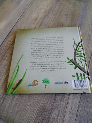 Libro el retorno de villarina