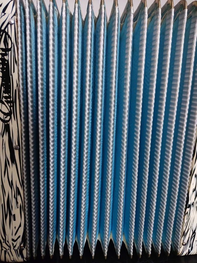 Acordeón Guerrini 12 bajos.