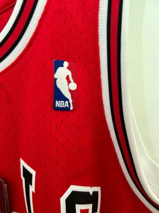 Camiseta chicago bulls