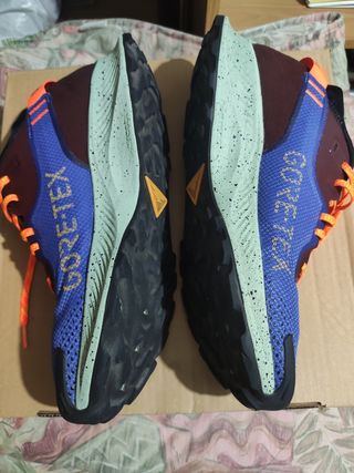 Zapatillas Nike trail Pegasus GTX