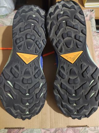 Zapatillas Nike trail Pegasus GTX