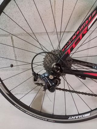 BICI GIANT TCR COMPOSITE 2 COMPACT
