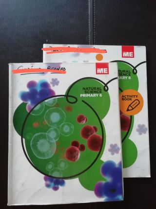 NATURAL SCIENCE 6° primaria