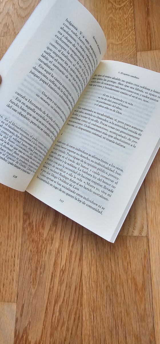 En torno al casticismo