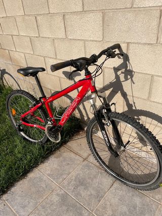 Bicicleta Orbea Endura 336 Zoom