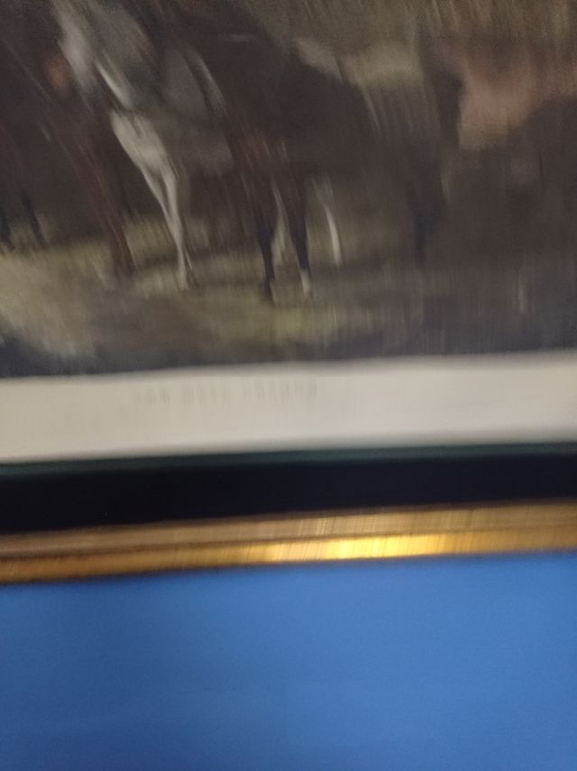 Antigua litografía enmarcada Fores's