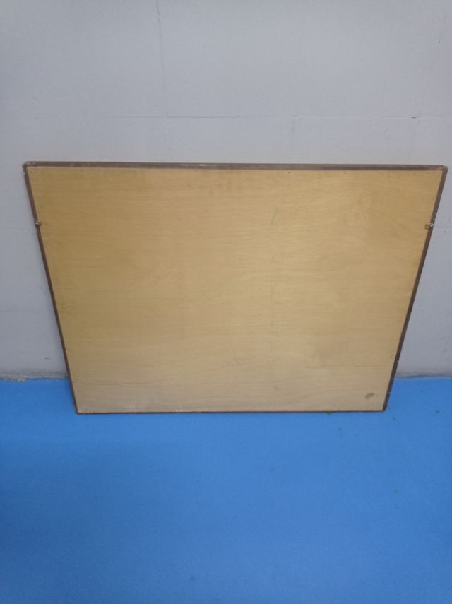 Antigua litografía enmarcada Fores's