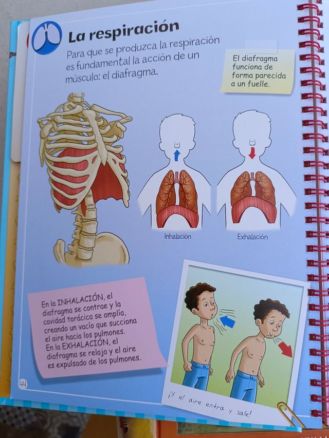 Libro científico para niños