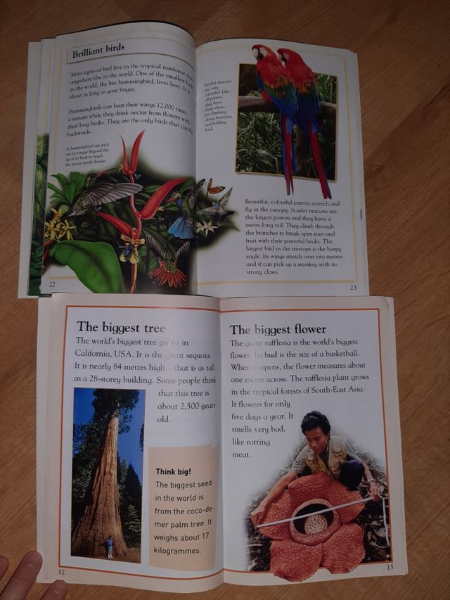 The rainforest/ The biggest (McMillan)