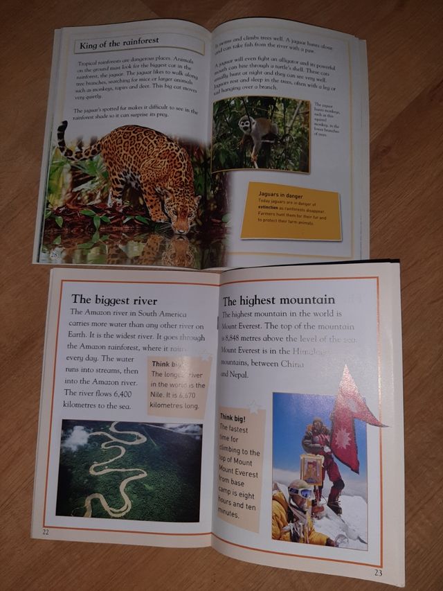 The rainforest/ The biggest (McMillan)