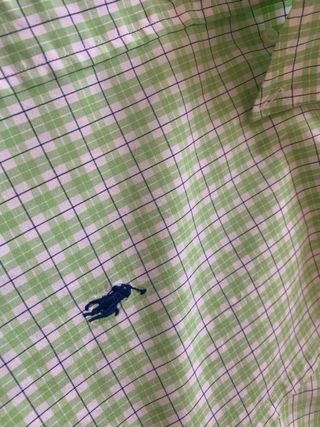 Camisa Ralph Lauren