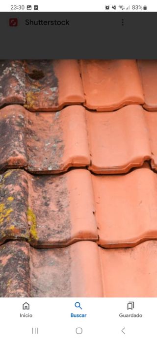 Limpieza de Tejas de Barro