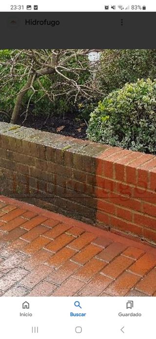 Limpieza de Tejas de Barro