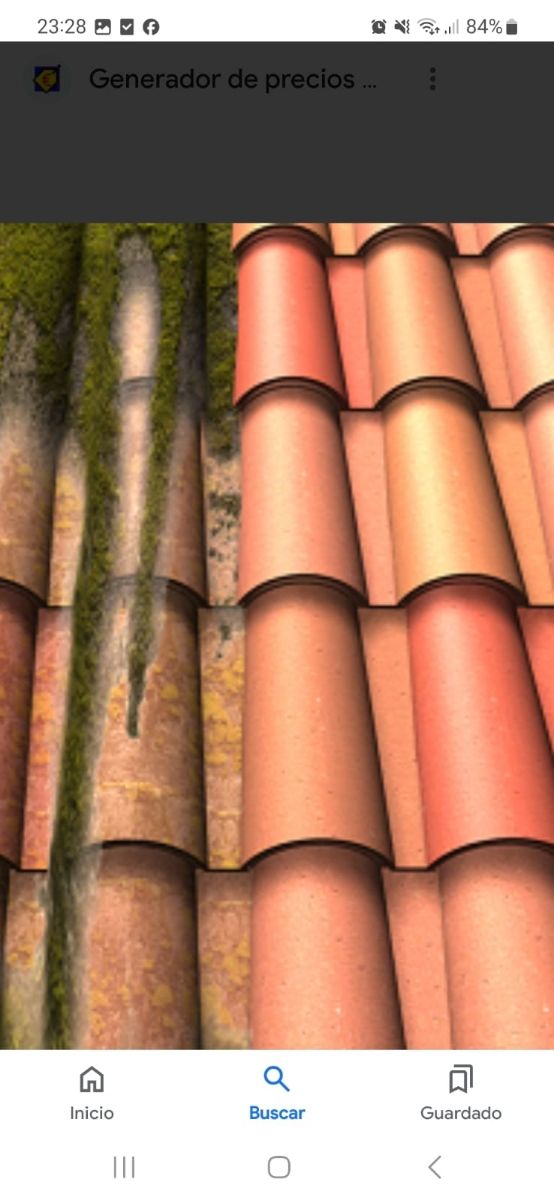 Limpieza de Tejas de Barro