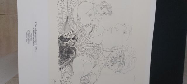 Catálogo gran formato Picasso suite 156