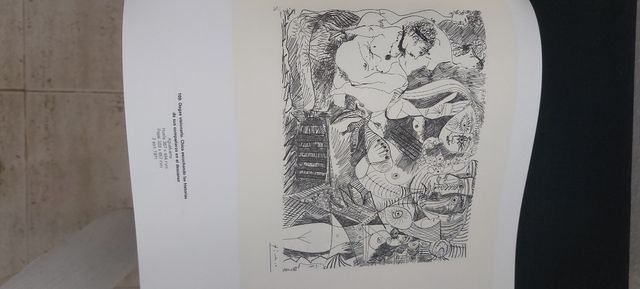 Catálogo gran formato Picasso suite 156