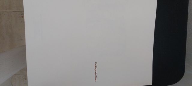 Catálogo gran formato Picasso suite 156