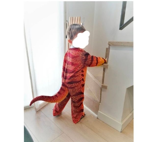 Disfraz dinosaurio dragón