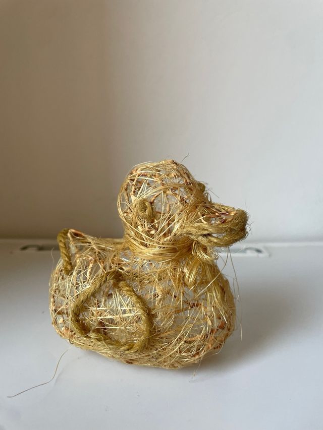 Anatra da collezione