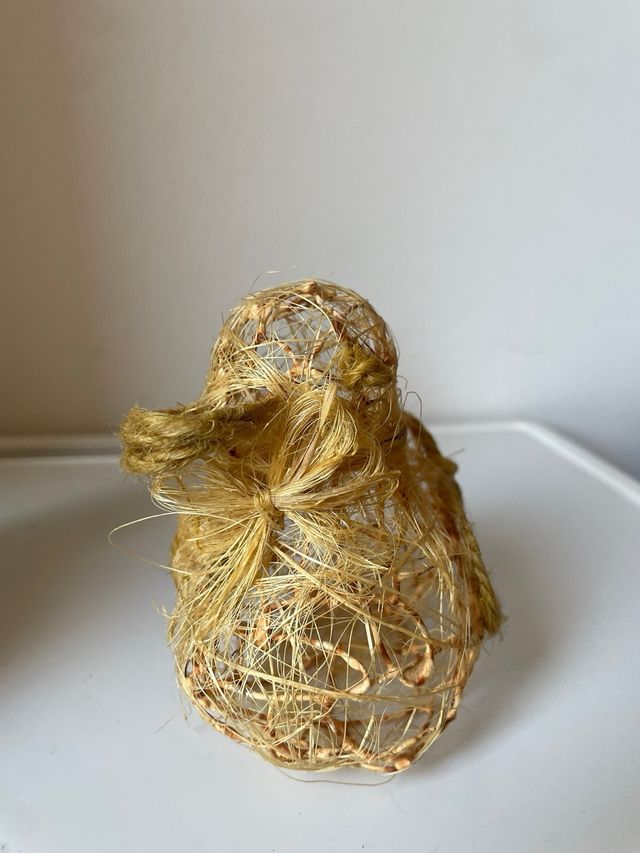 Anatra da collezione