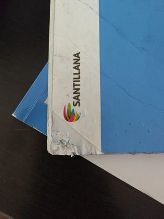 Libro Matematicas 4 Saber Hacer Santilla