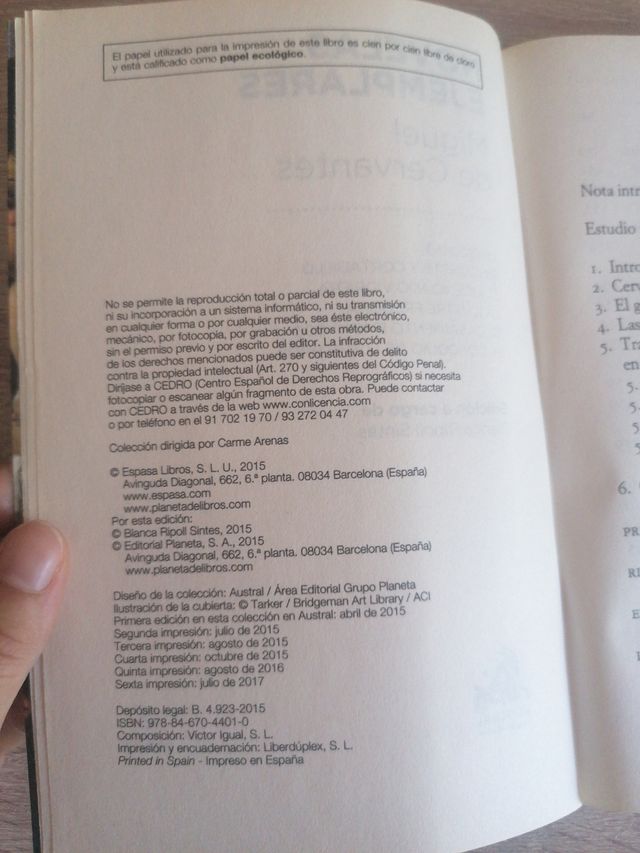 Romanzi esemplari di Cervantes